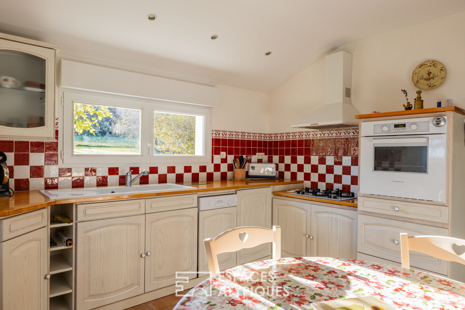 Charente property surrounded by vineyards and its two gîtes