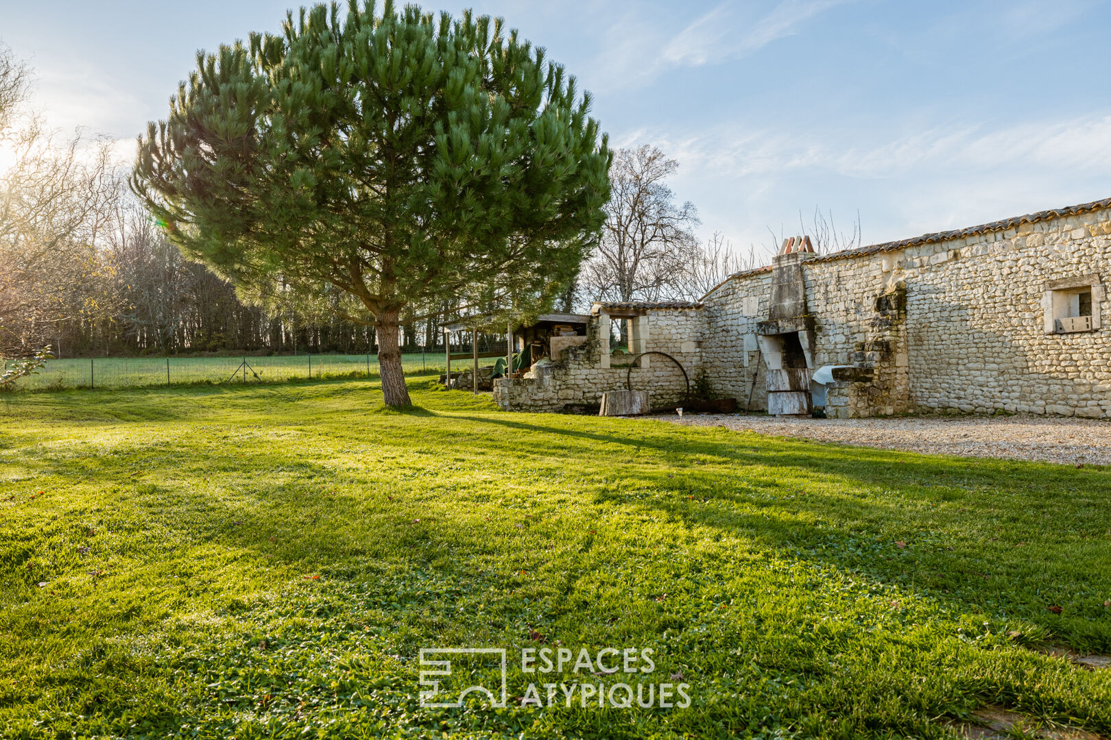 Charente property surrounded by vineyards and its two gîtes