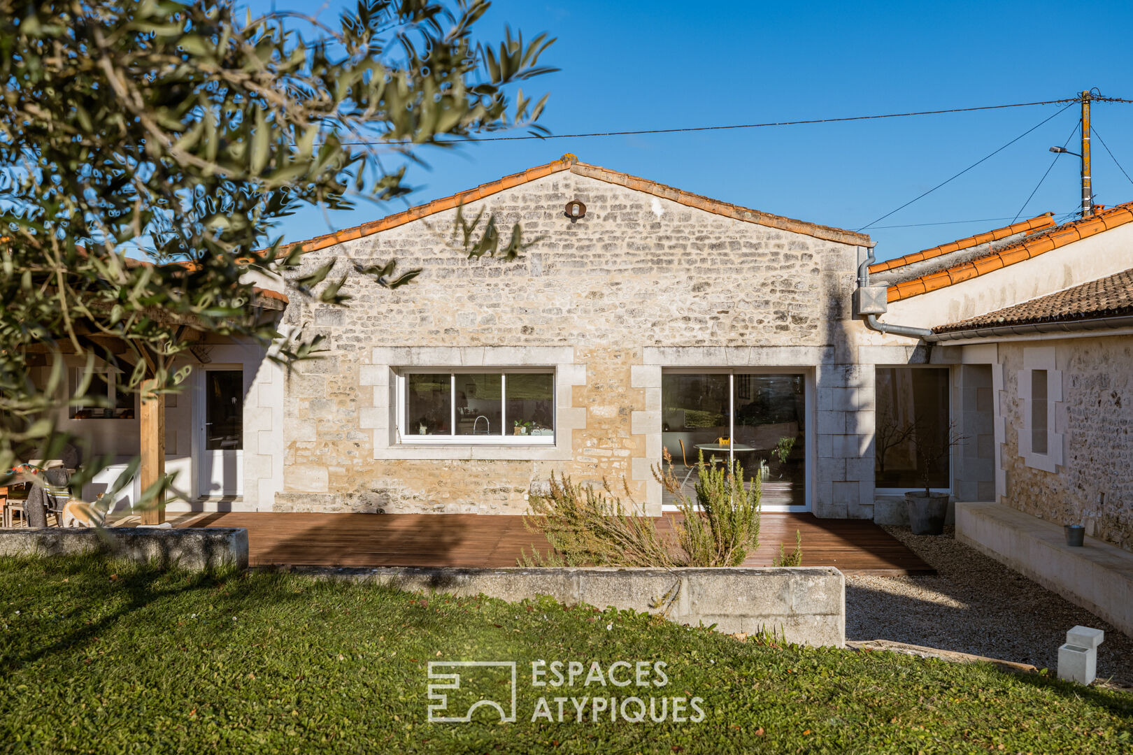 Charente property surrounded by vineyards and its two gîtes