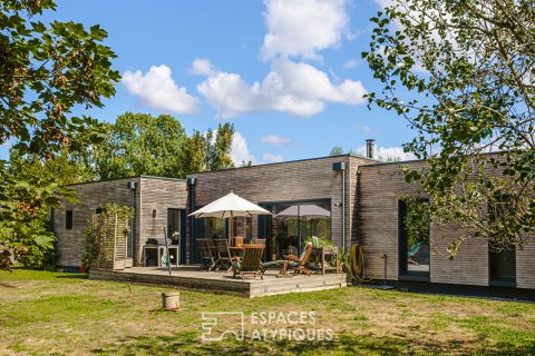 Harmony of wood and light in the heart of nature