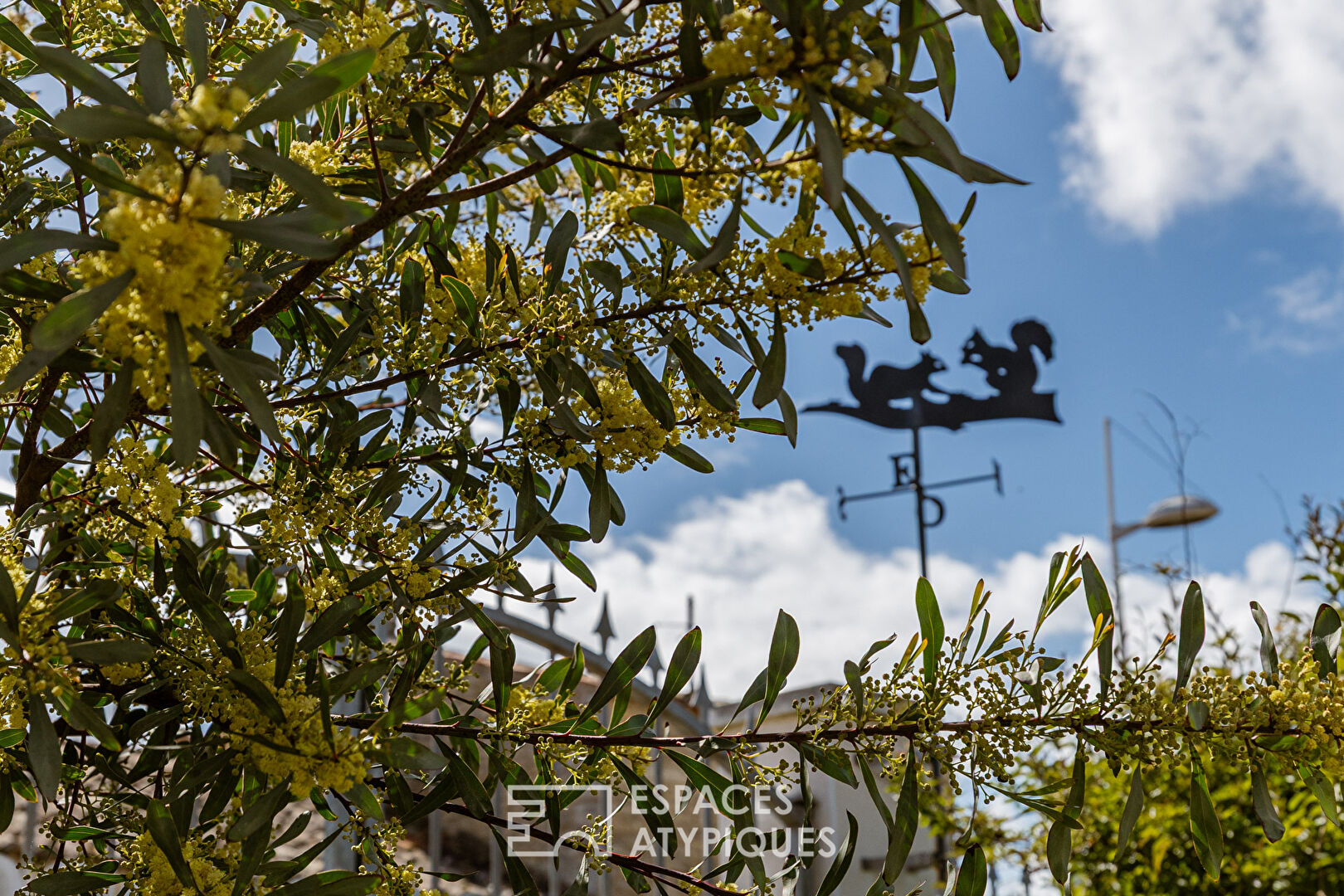 Ancien chai transformé en havre de douceur