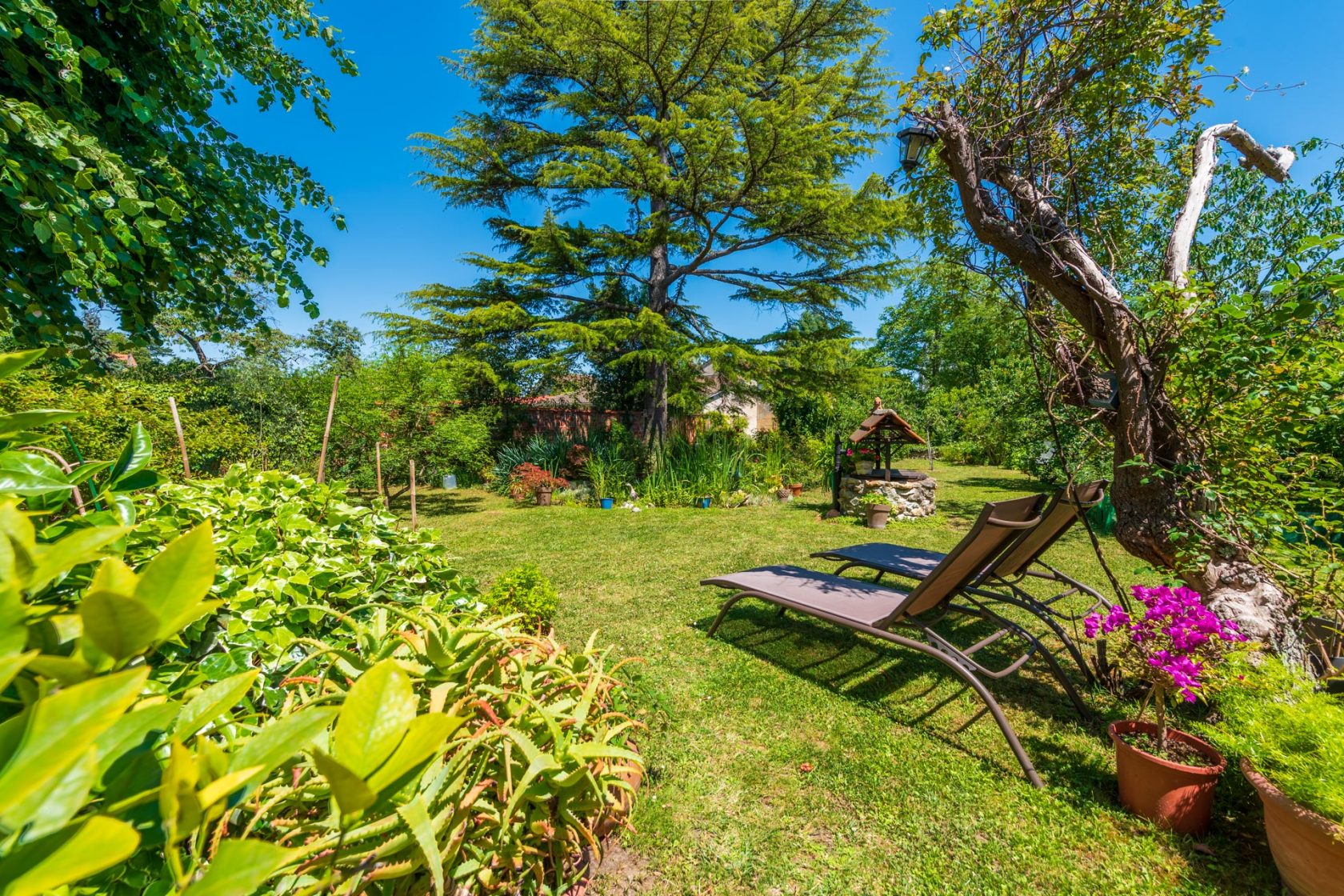 Maison de caractère avec jardin