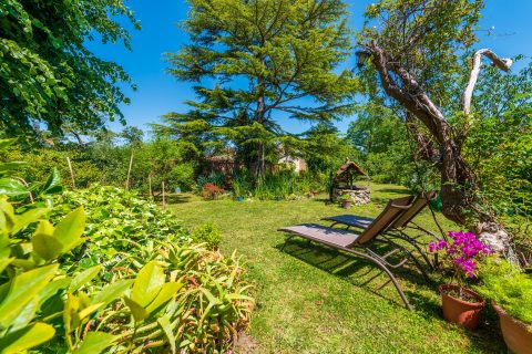 Character house with garden