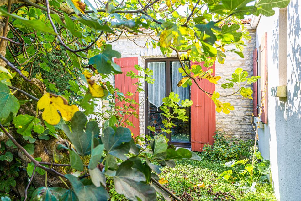 maison-vacances-oleron-dolus
