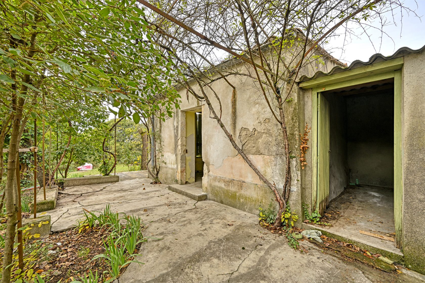Mazet to renovate on large wooded land