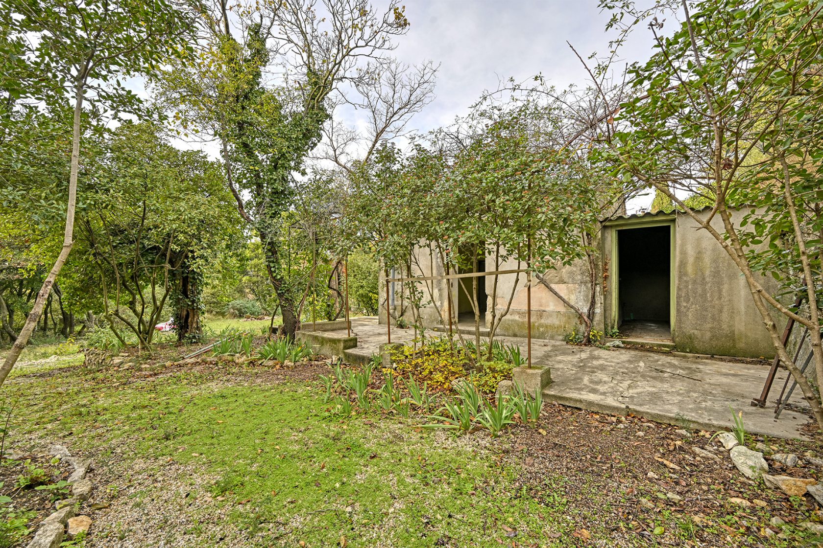 Mazet to renovate on large wooded land