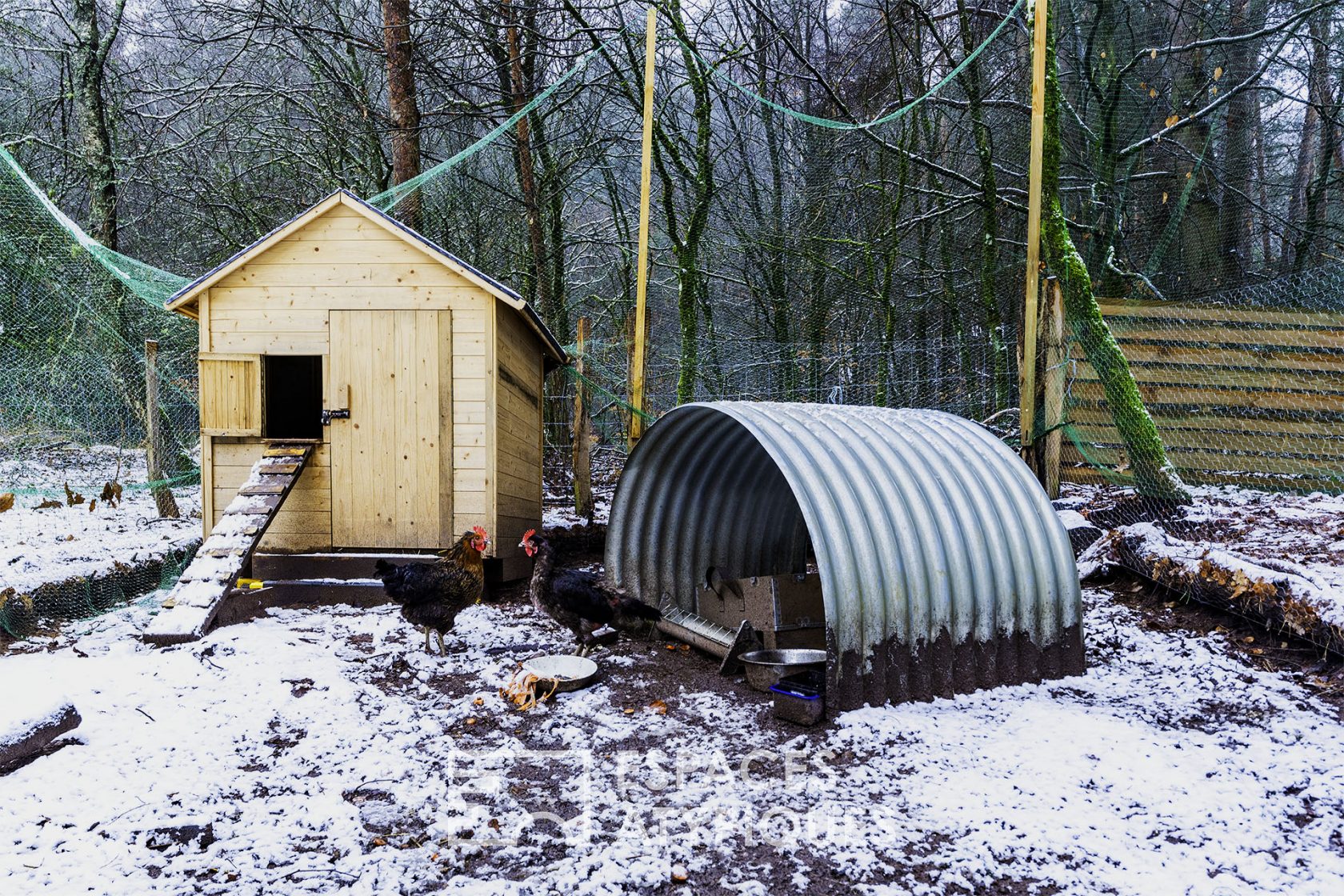Tiny houses in Vosges wood in the heart of the forest