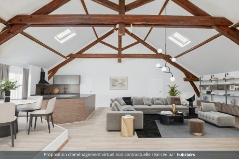 Loft en duplex aux portes du Vieux Tours