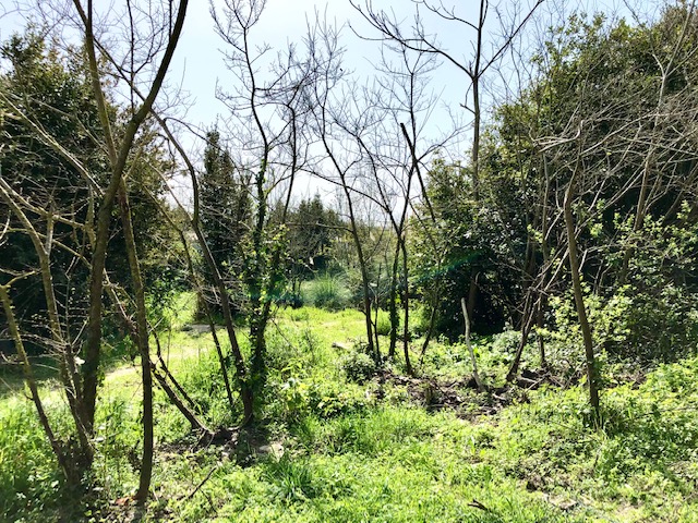 Terrain constructible aux portes en re
