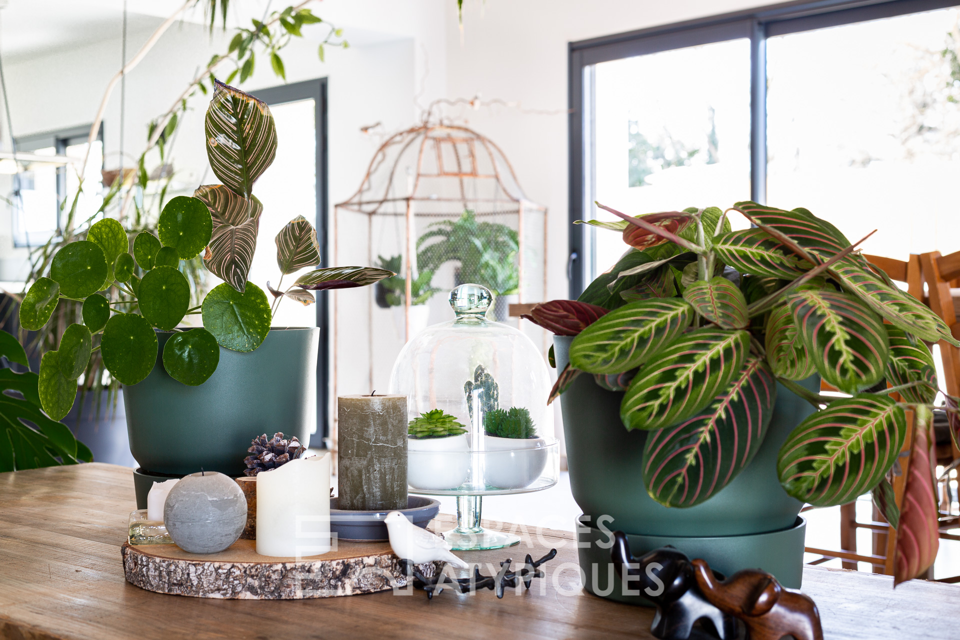 Contemporaine chaleureuse et conviviale