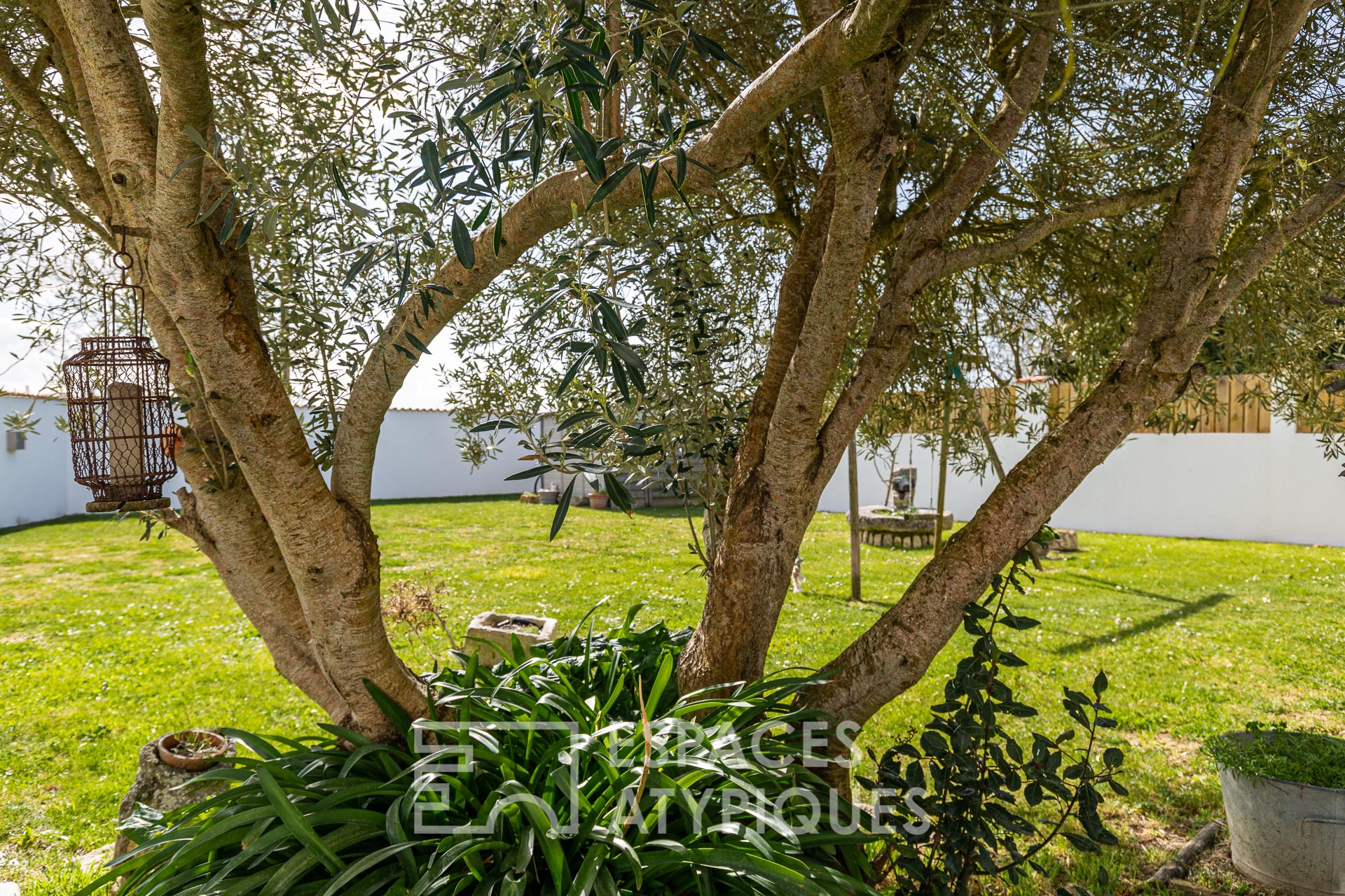 Contemporaine chaleureuse et conviviale
