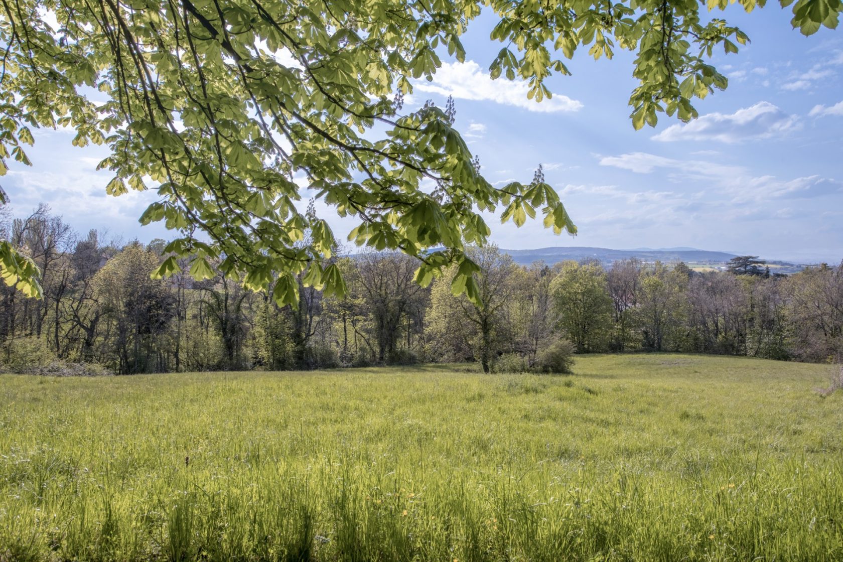 Ancienne ferme du 19e siècle avec vue panoramique sur la campagne