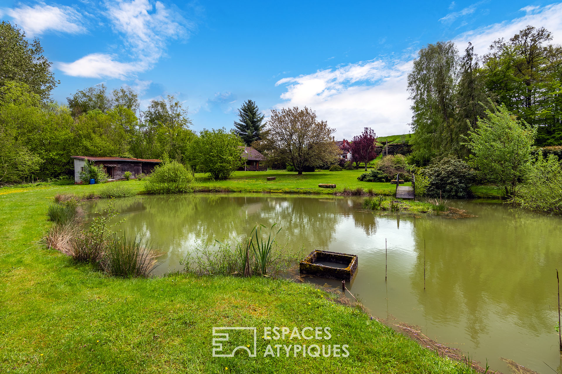 Chalet and its pond in the heart of nature