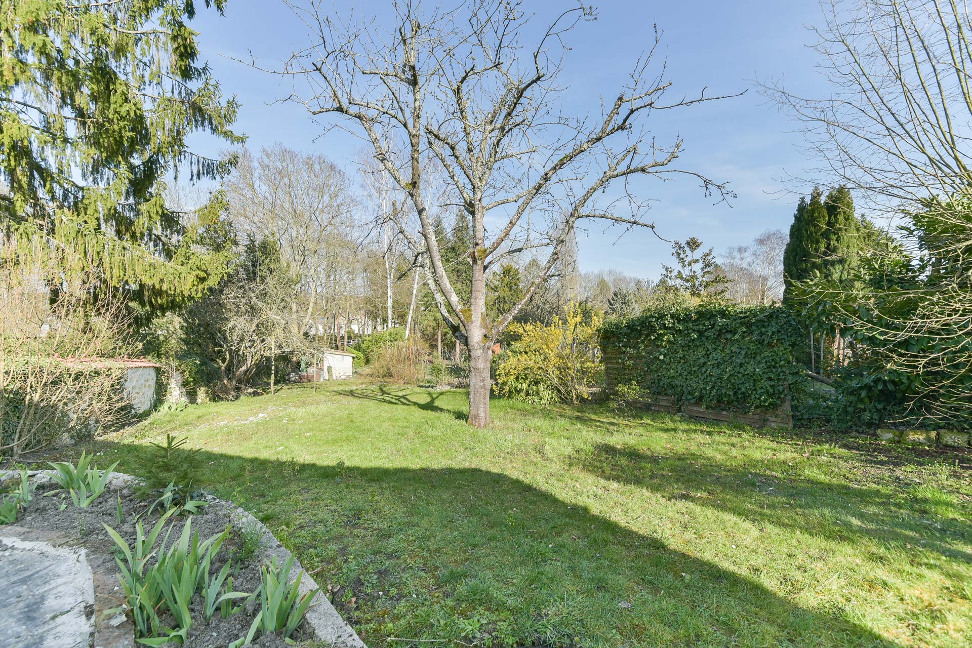 Former bistro and its cellar converted into a family home