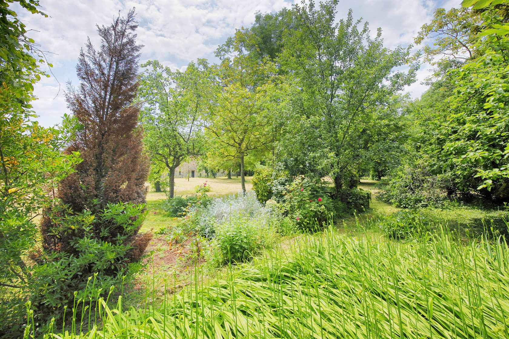 Belle maison de caractère à repenser avec jardin