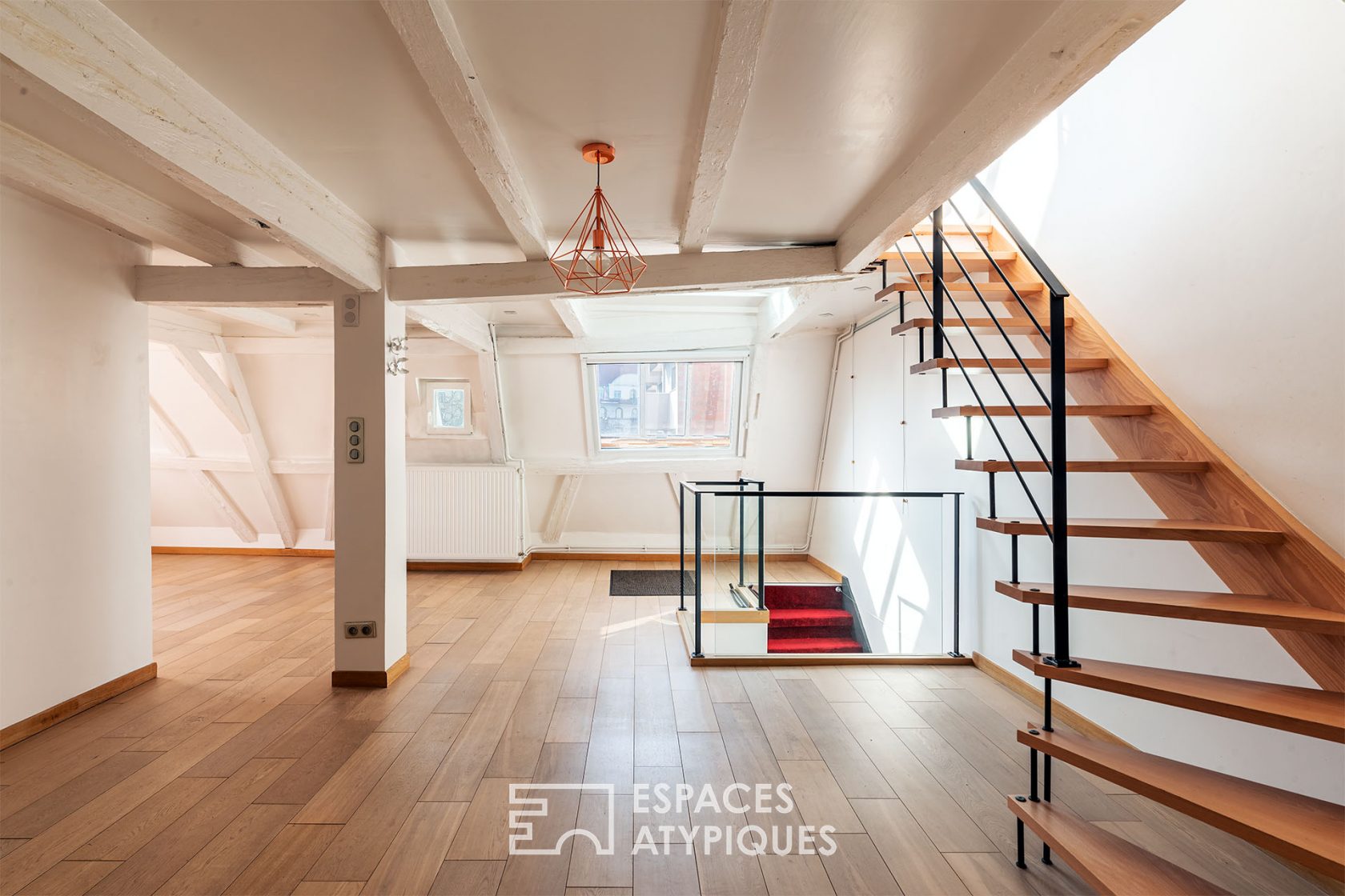 Duplex de charme et sa terrasse sur les toits
