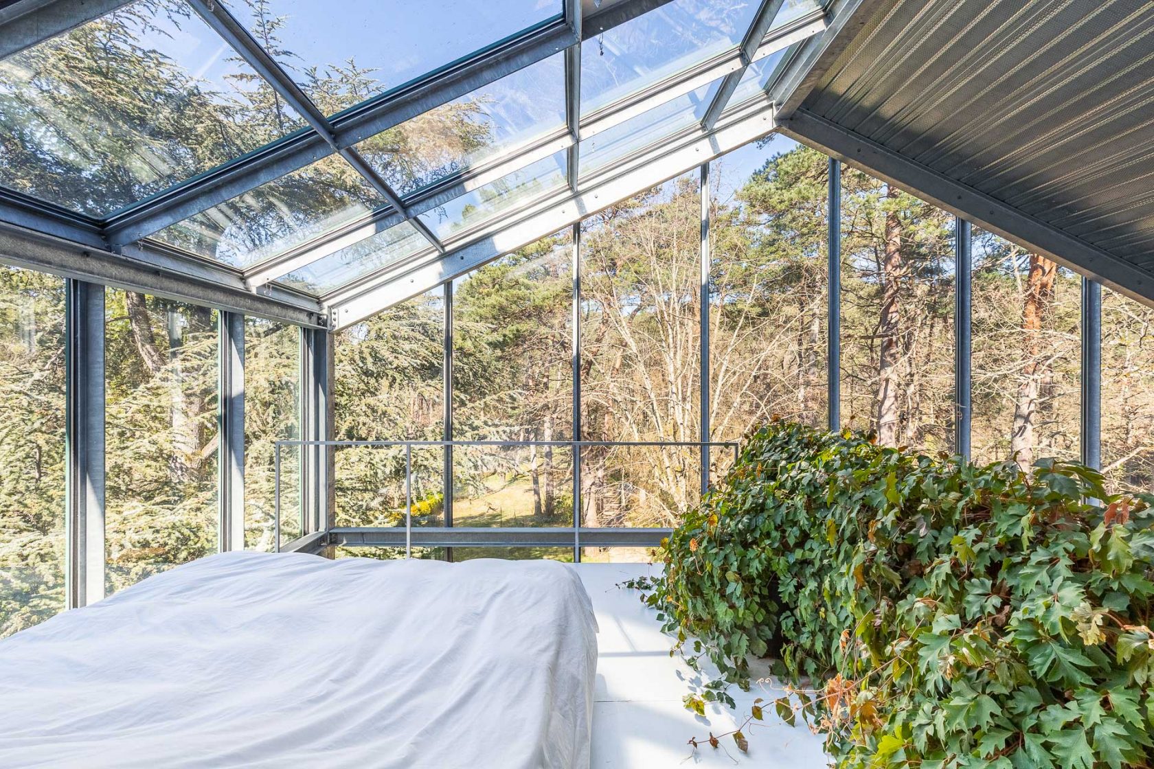 House with its glass extension nestled in the forest