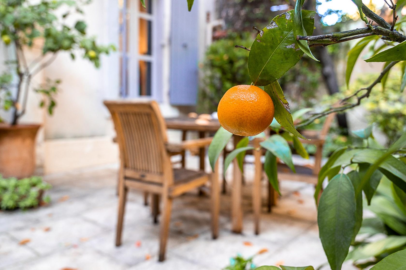 Townhouse with garden Arceaux district