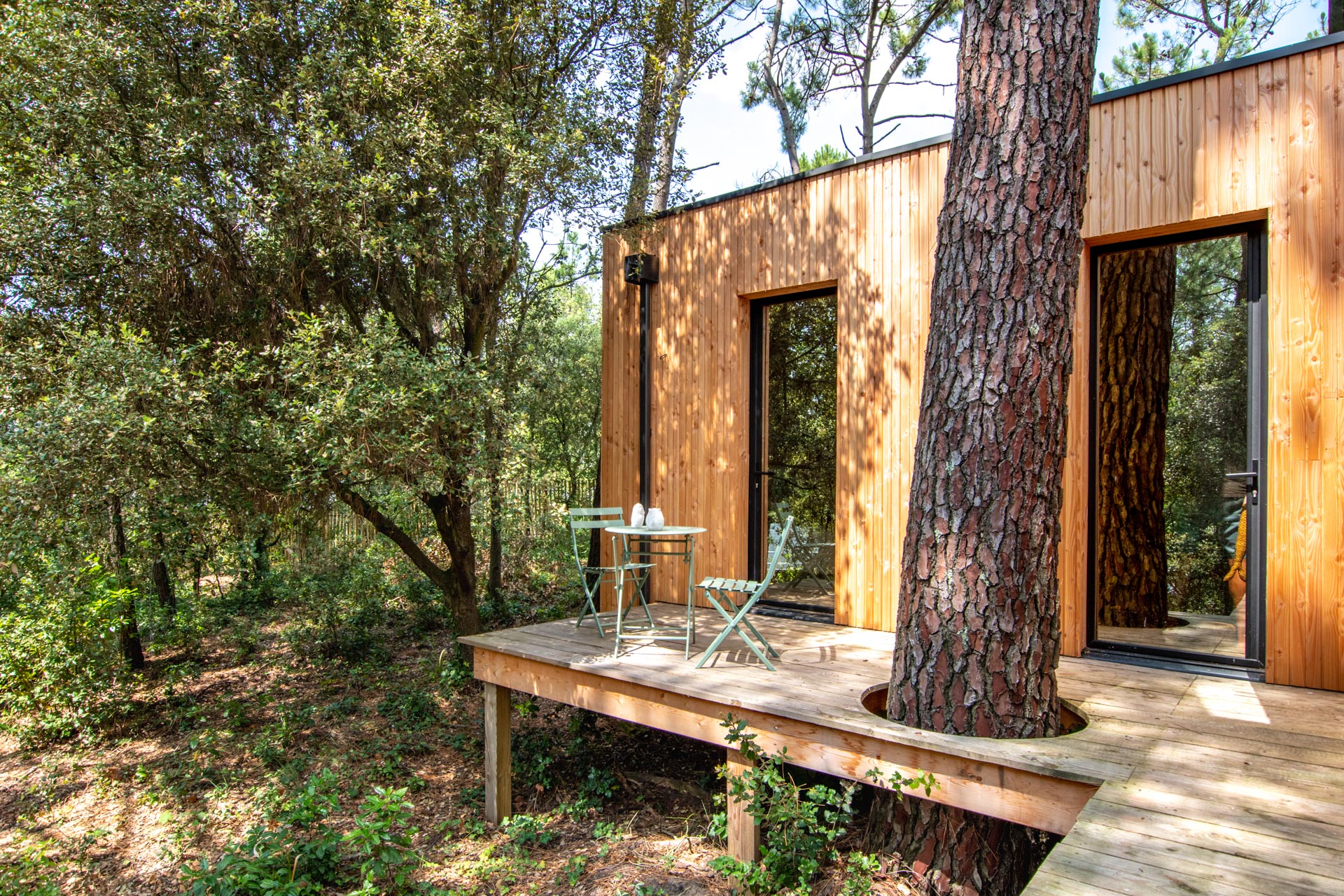 Villa en bois sur la dune et dans la canopée