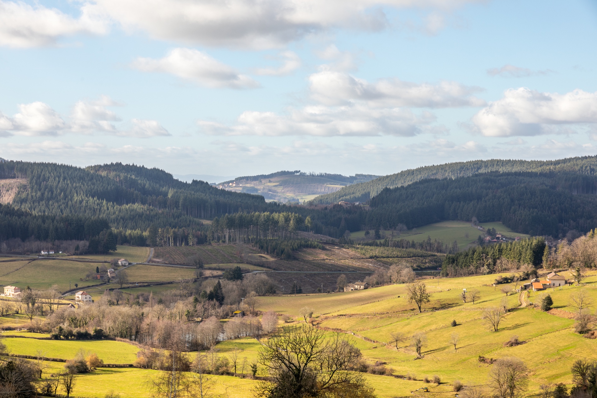 Maison dans son écrin de verdure sur les hauteurs du Beaujolais