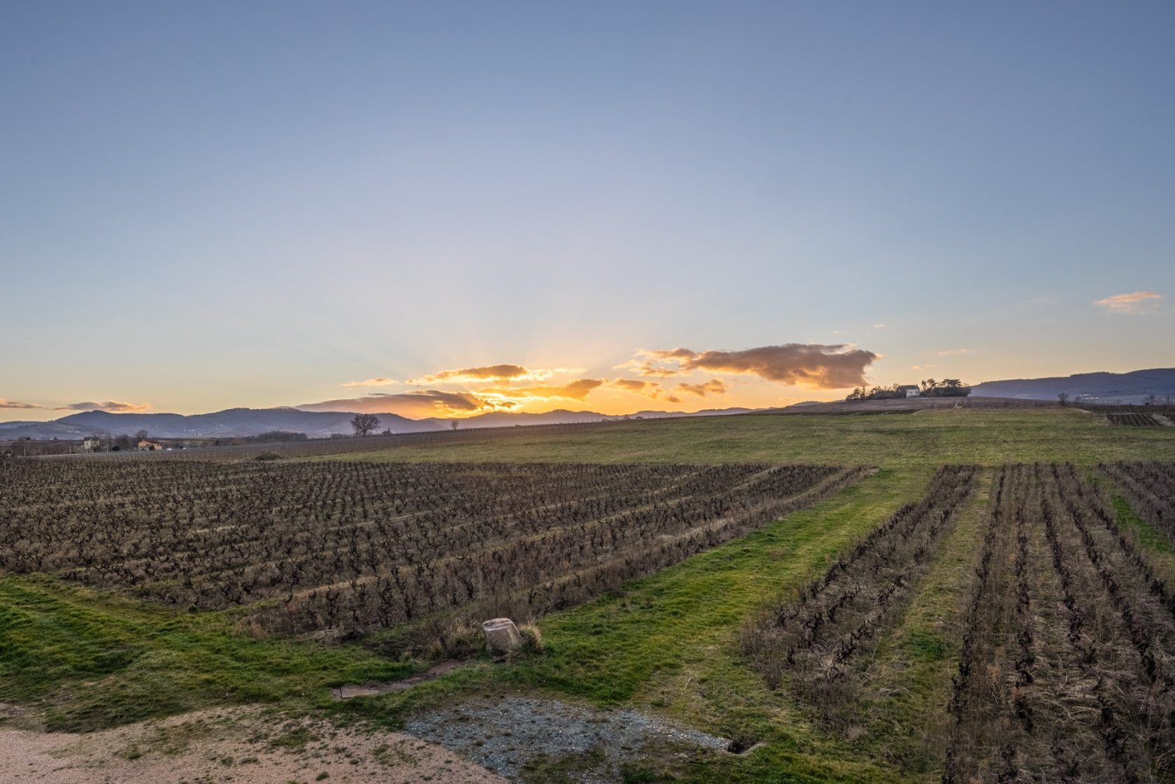 Château d’exception au cœur des vignes