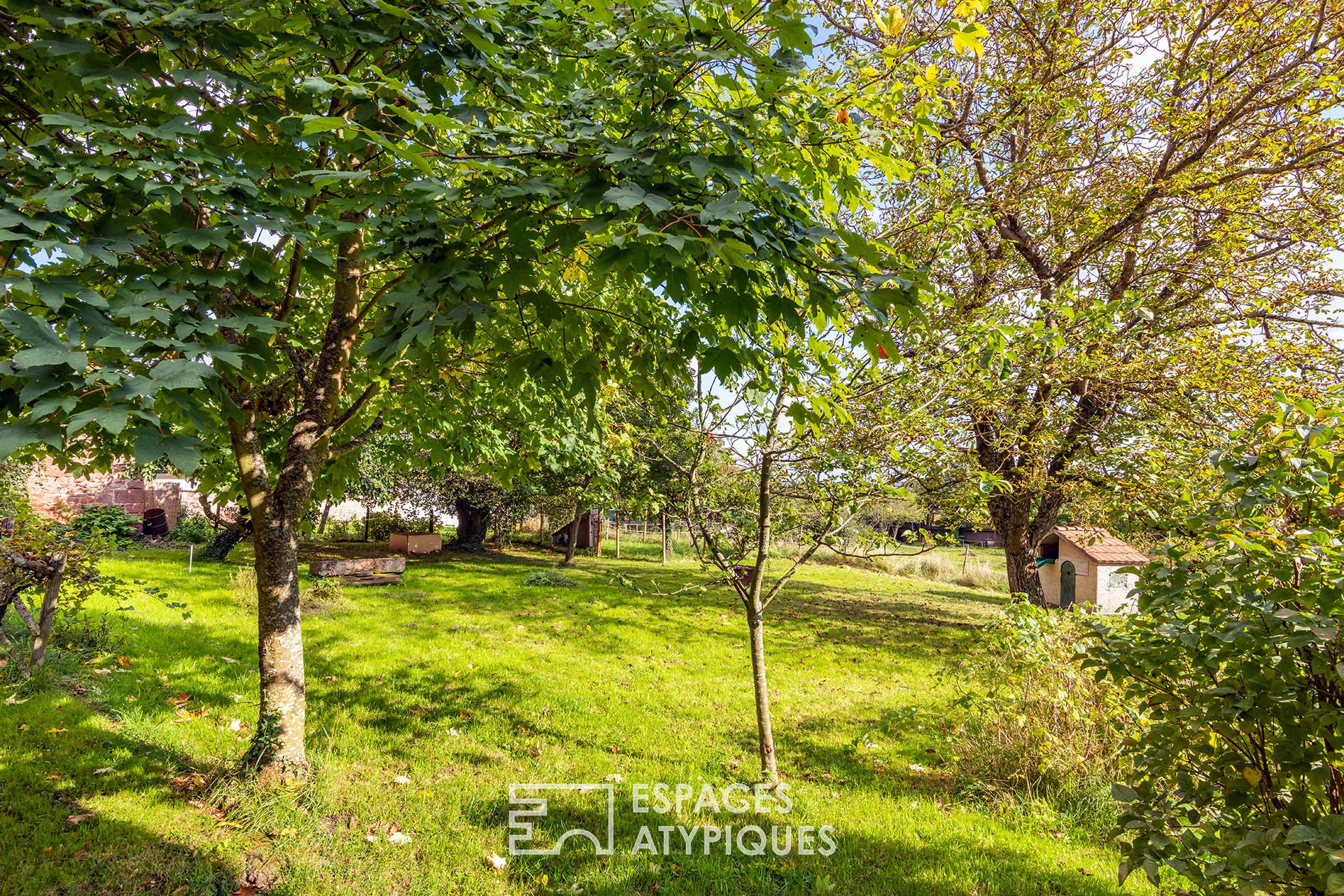 Maison alsacienne rénovée et son vaste jardin avec verger