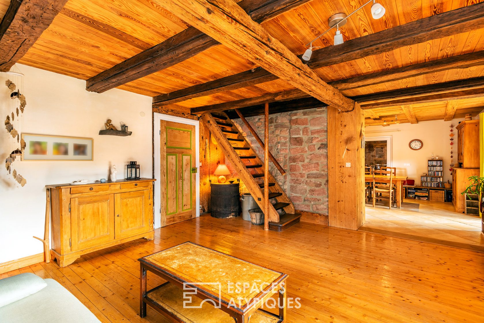 Renovated Alsatian house and its vast garden with orchard