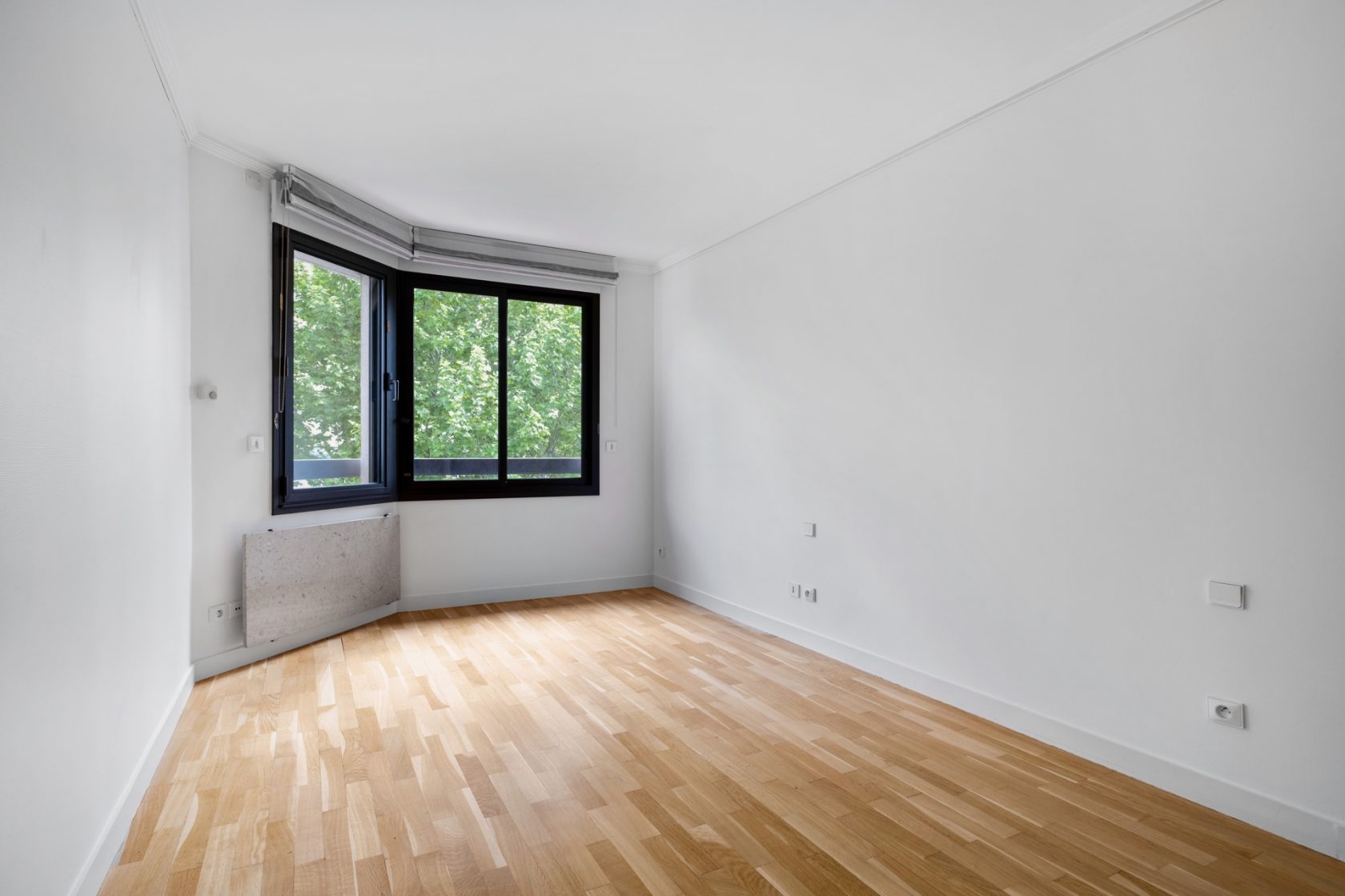 Renovated apartment with balcony