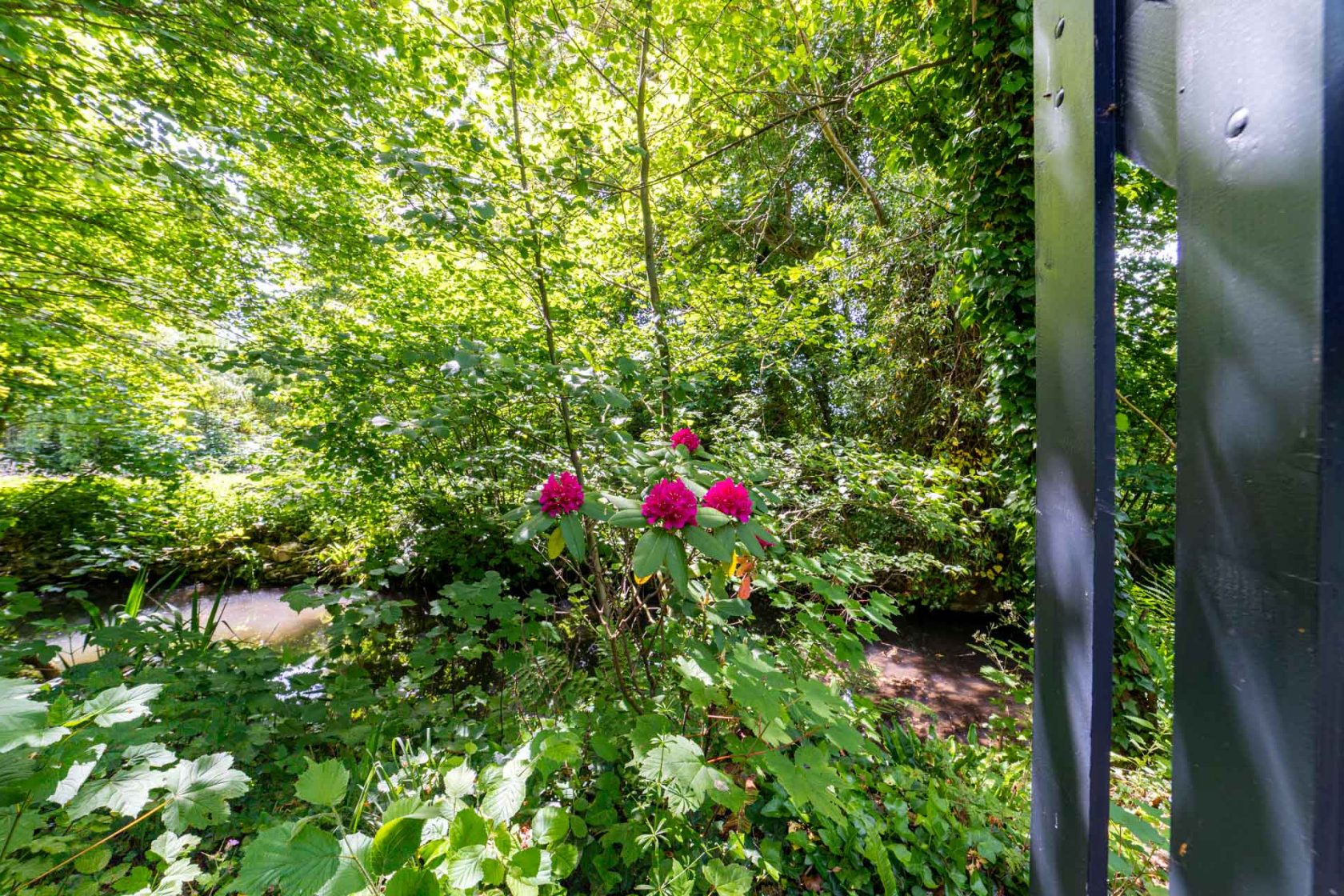 Maison de charme et son ruisseau au fond du jardin