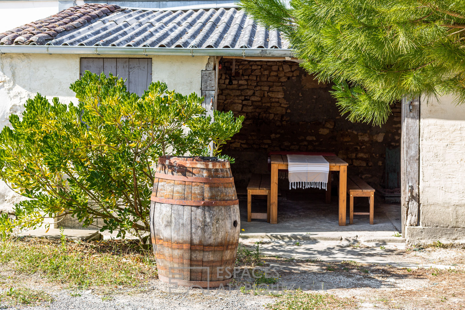 Former cellar rehabilitated