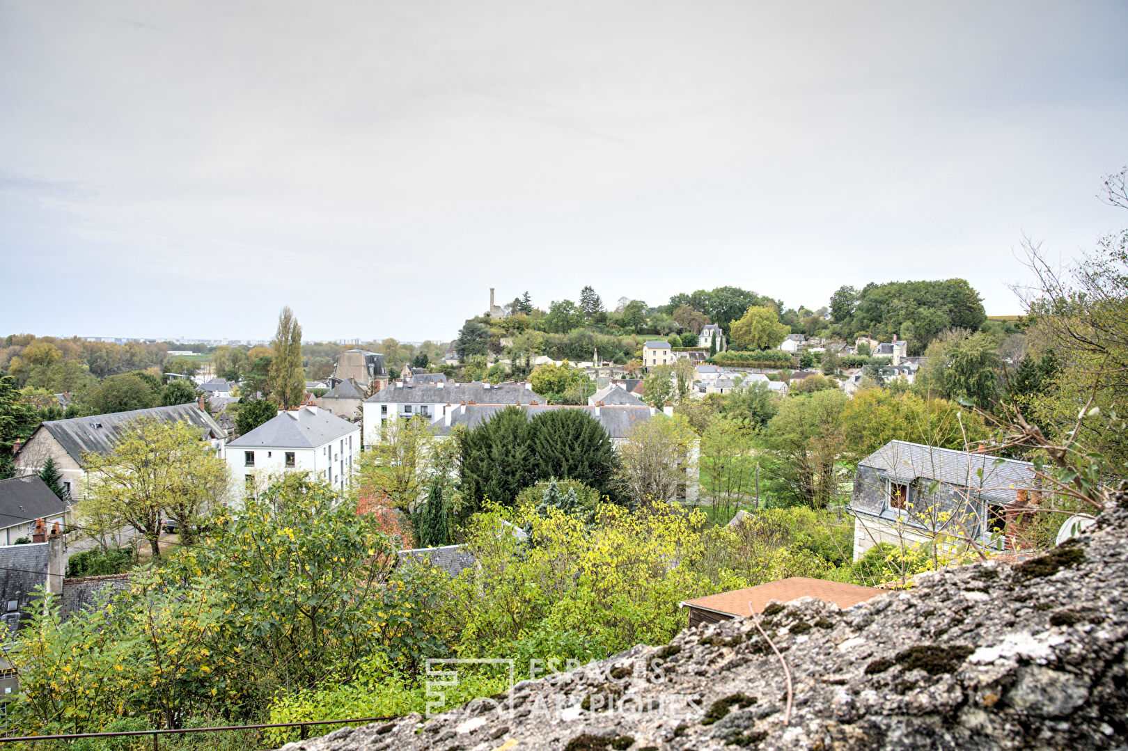 Maison troglodyte et sa vue Loire