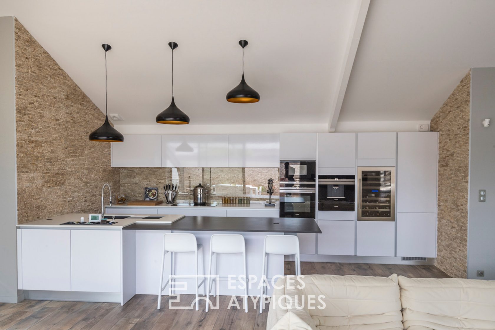 Magnifique loft avec terrasse et ses deux locatifs