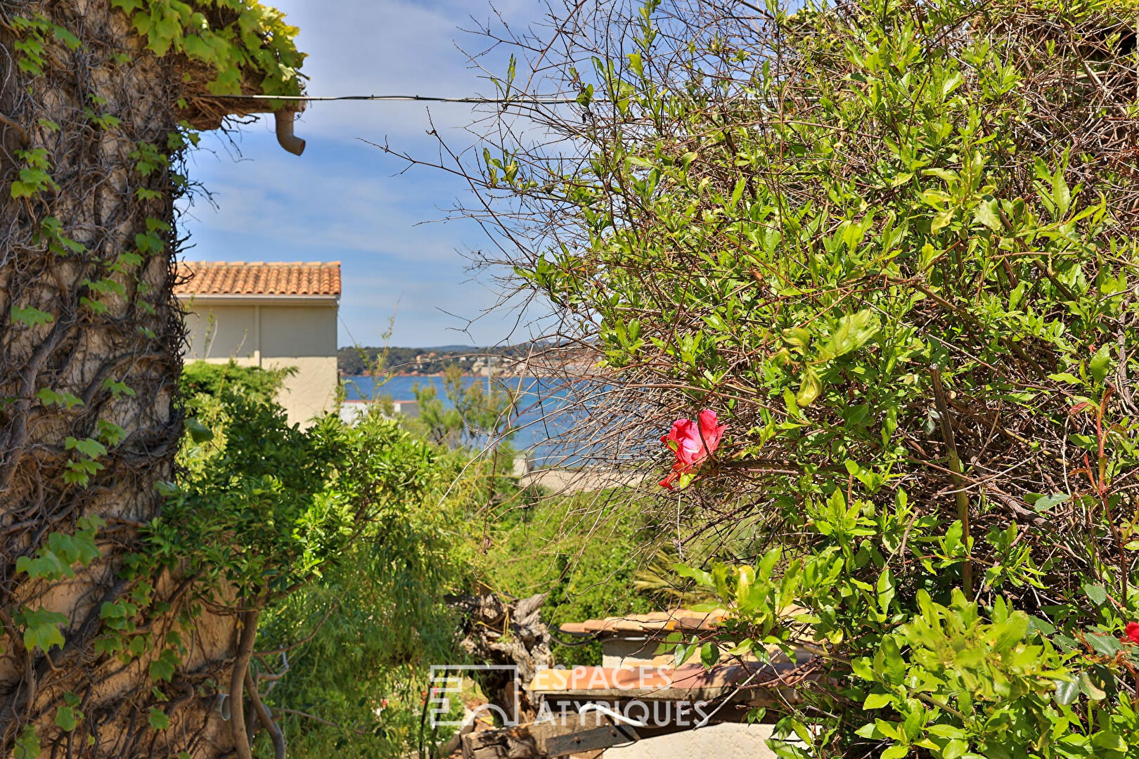 maison-villa-six-fours-les-plages-tpm-mer-piscine-prix-m2-photo