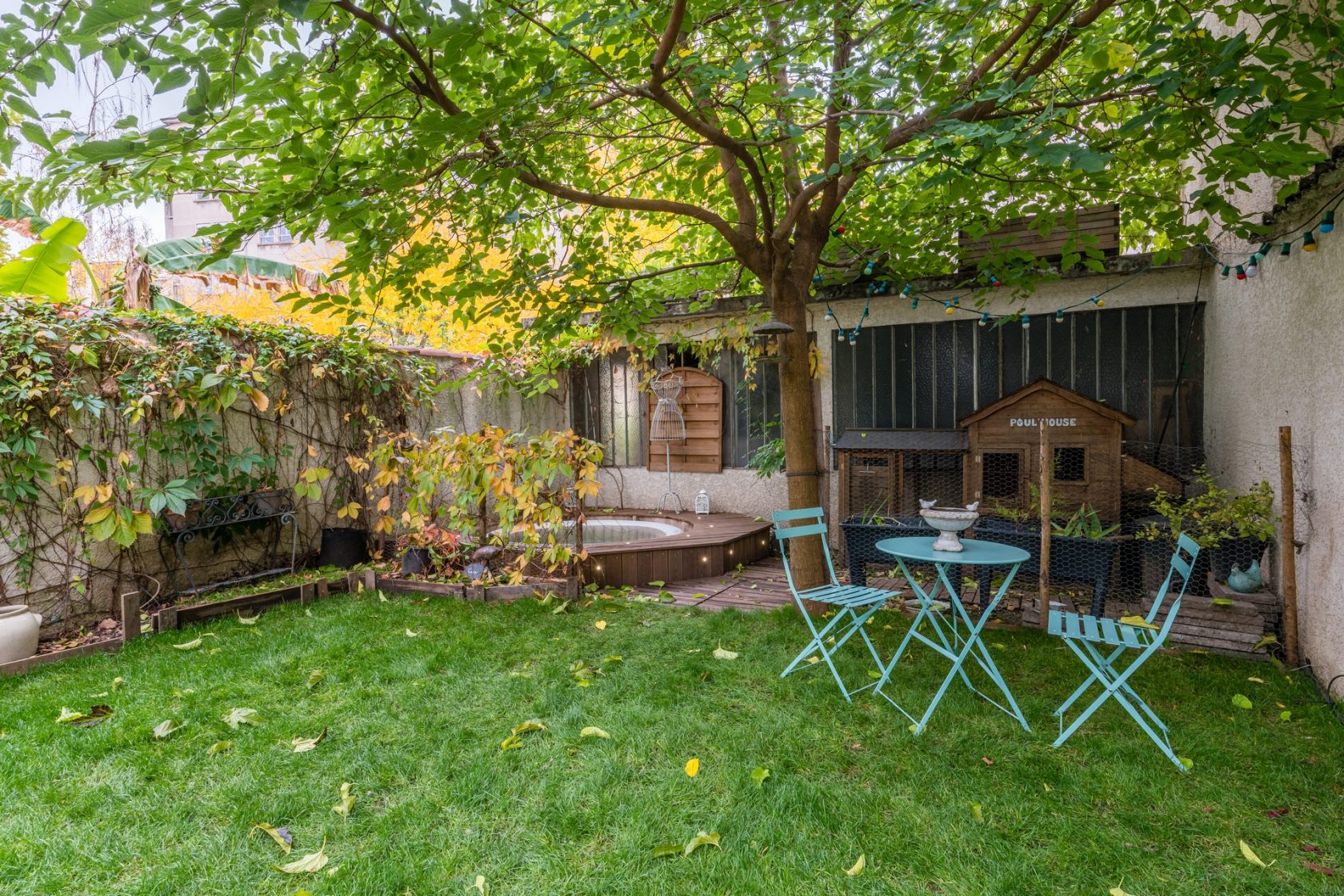 House with contemporary extension and bucolic garden