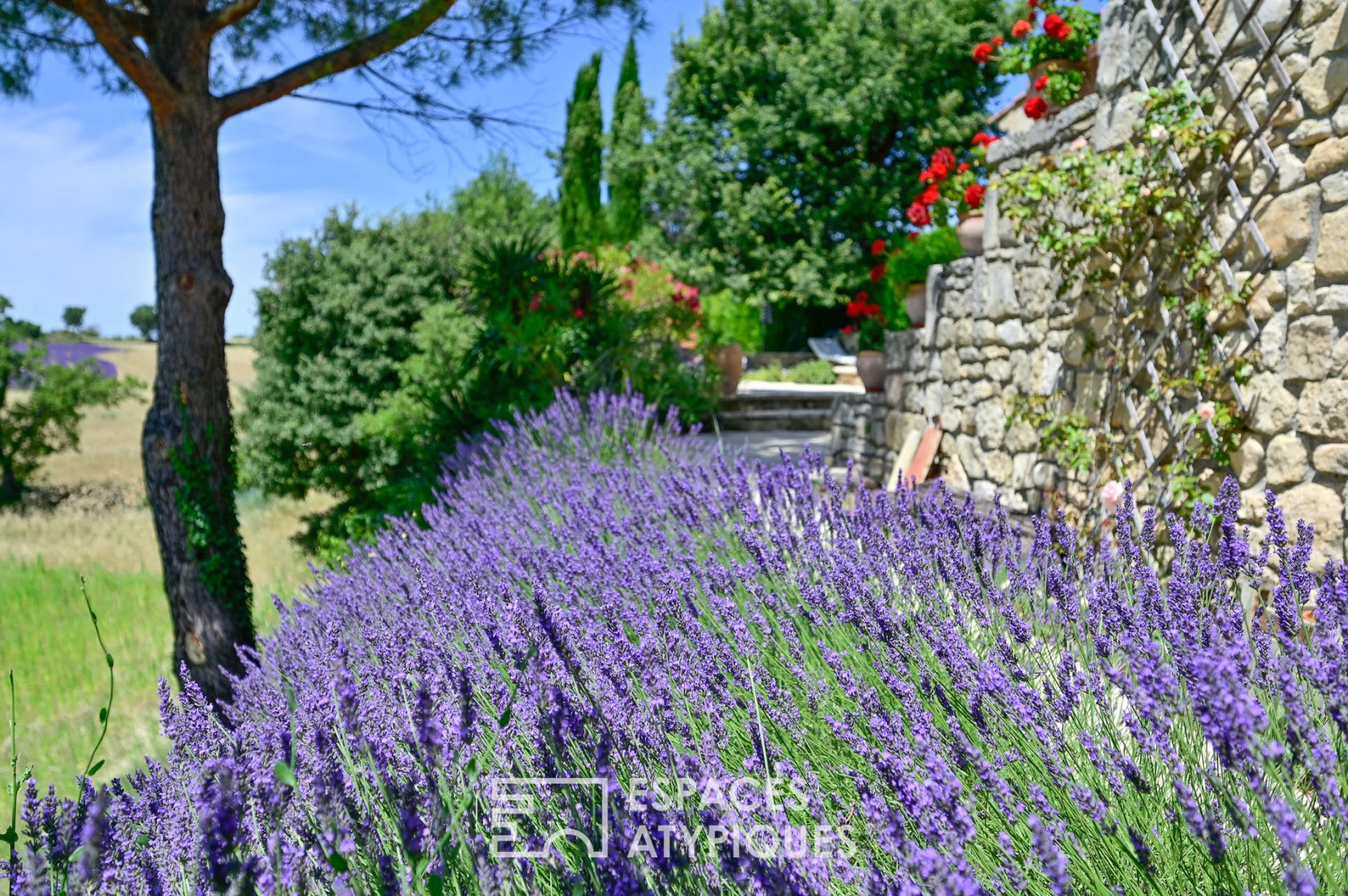 A cottage in Provence with an incredible view of the Luberon