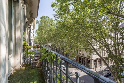 Haussmannien rénové avec balcon