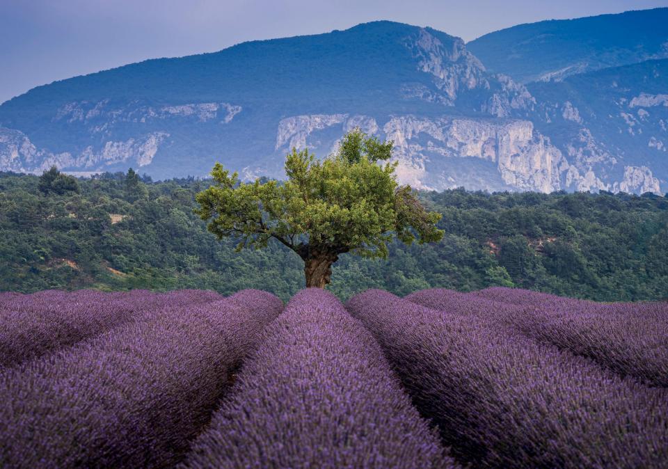 Agence Alpes-de-Haute-Provence