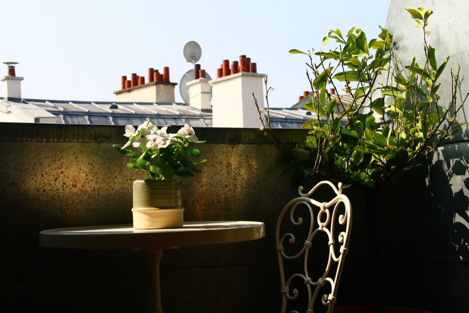 Petit balcon décoré avec une vue sur les toits de Paris. 