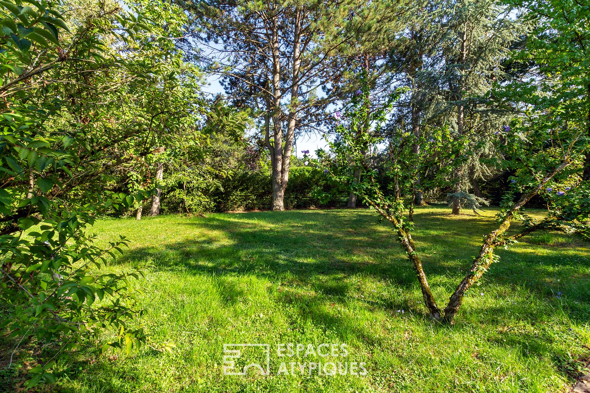 Terrain plat et arboré face au Château de La Léonardsau