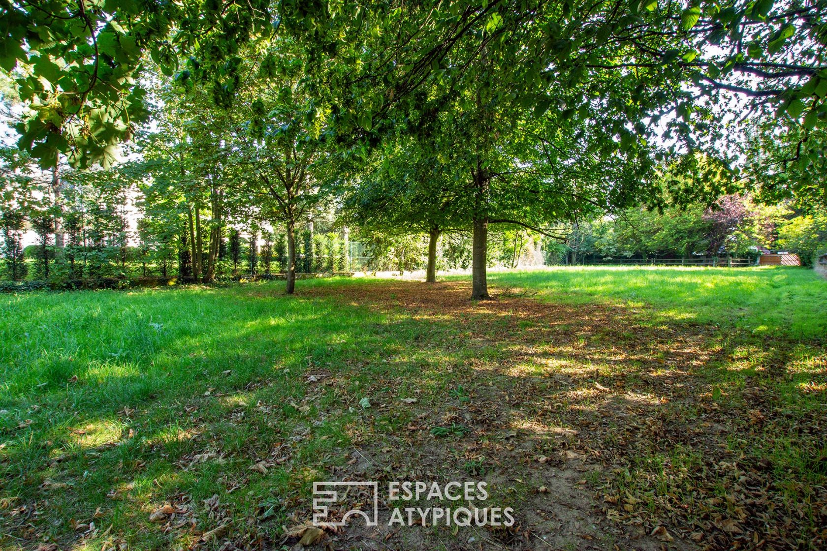 Wooded land facing the Château de La Léonardsau