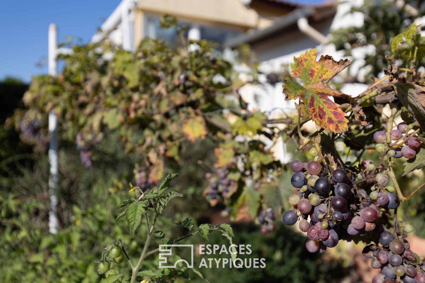 Etonnante « ferme landaise » et son jardin luxuriant