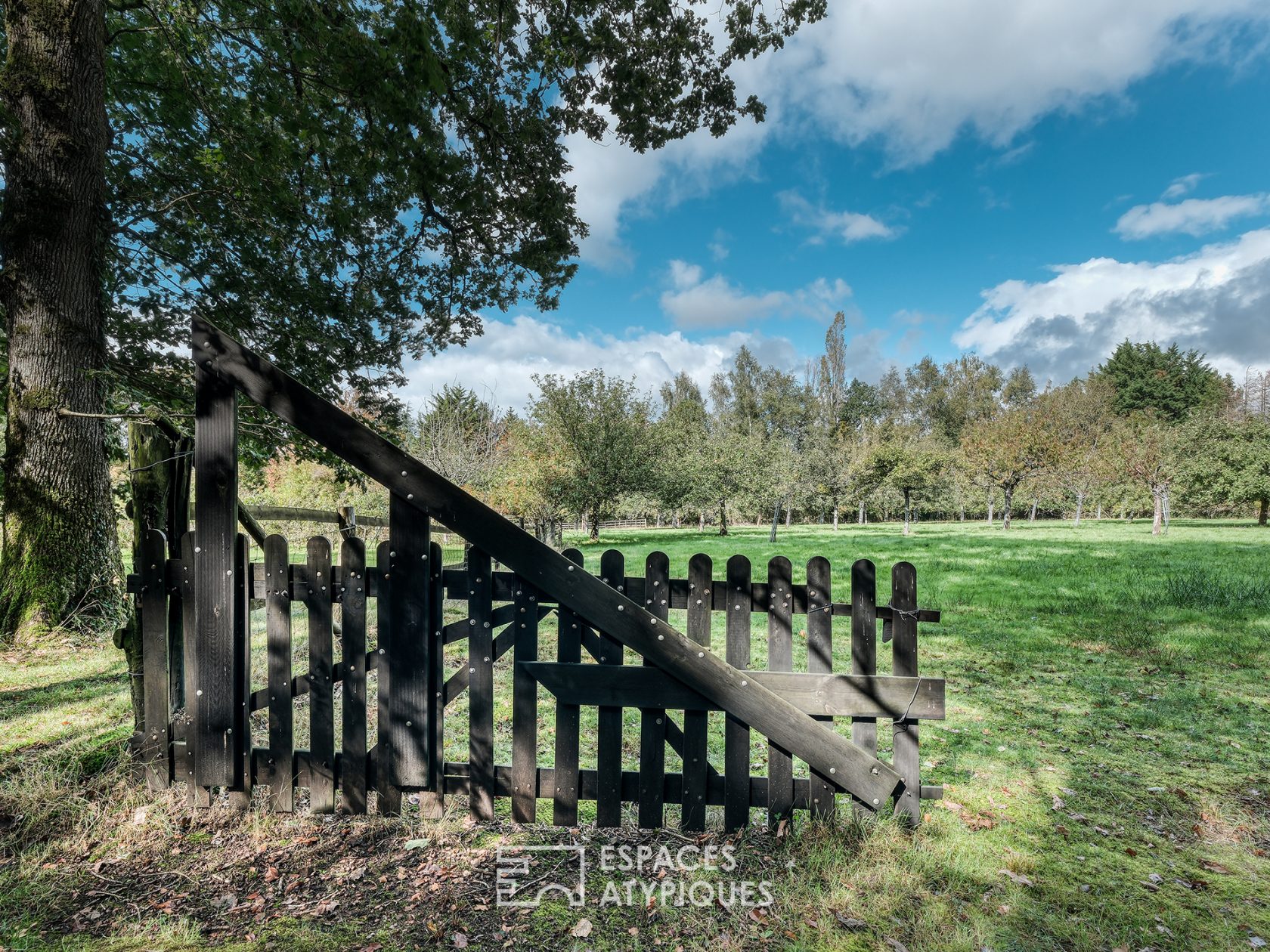 Property in the heart of the nature of Perche Eurélien