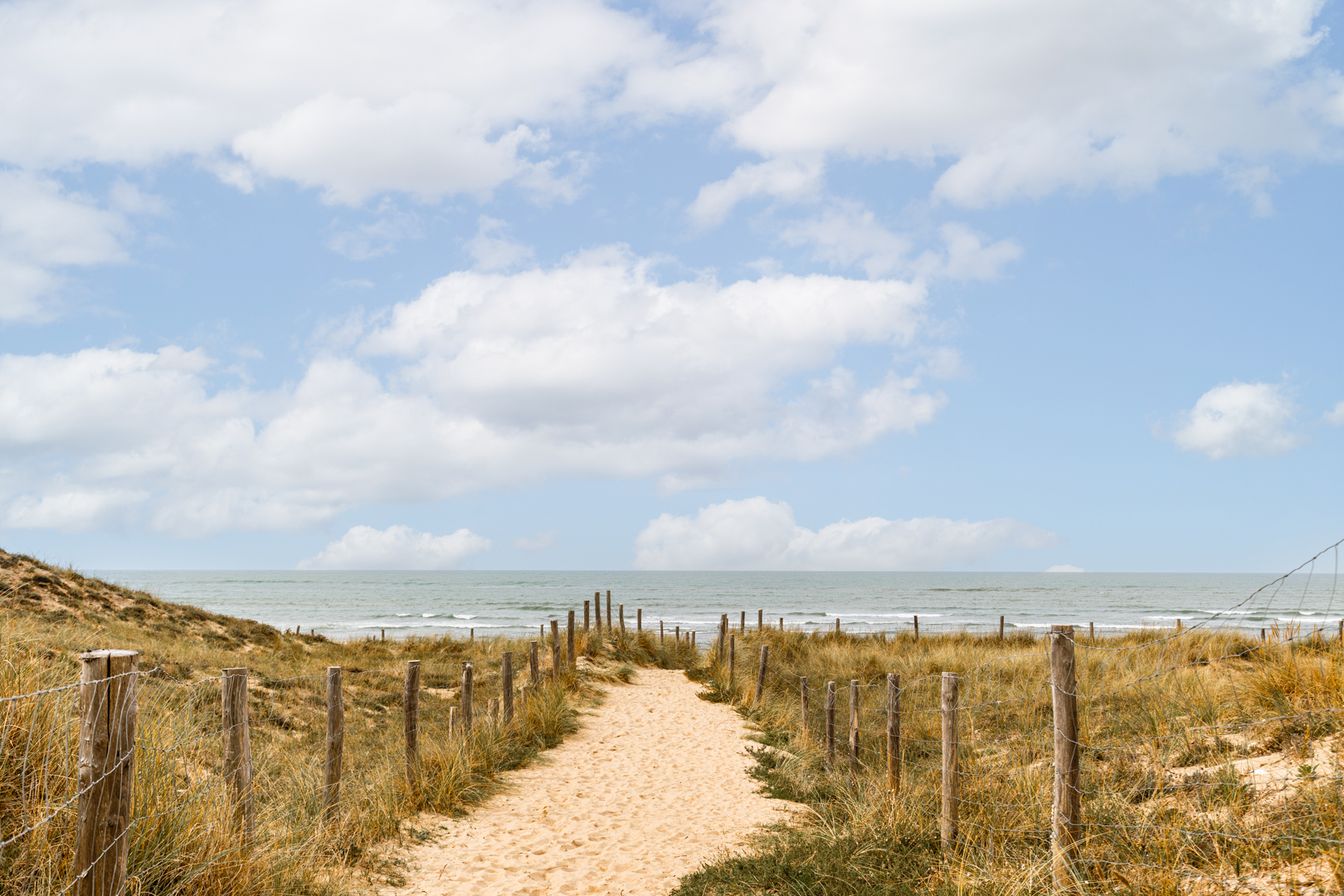 Contemporaine aux lignes furtives et son écrin de verdure proche des plages