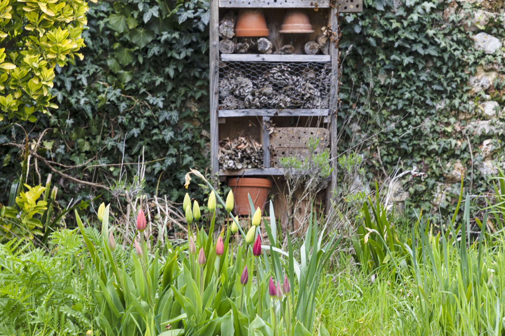 The tit property