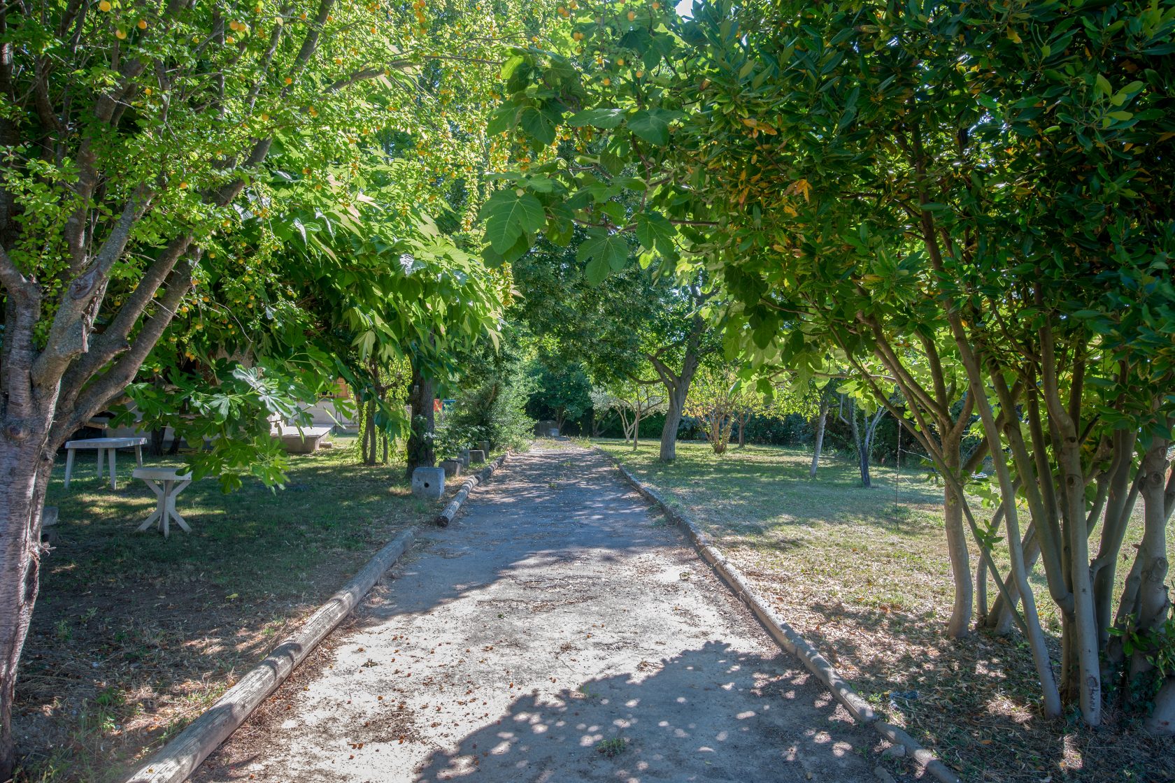 Large family property near Digne Les Bains