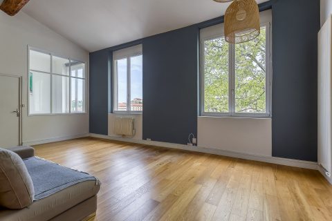 Old renovated duplex with Saône view
