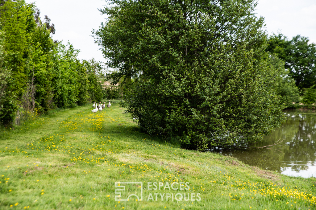 Character property with pond and swimming pool