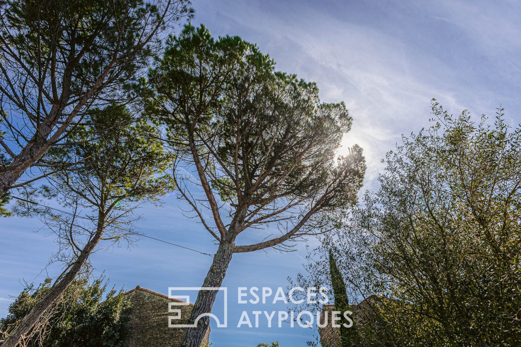 Magnificent residence and its island of greenery on the banks of the Sèvre