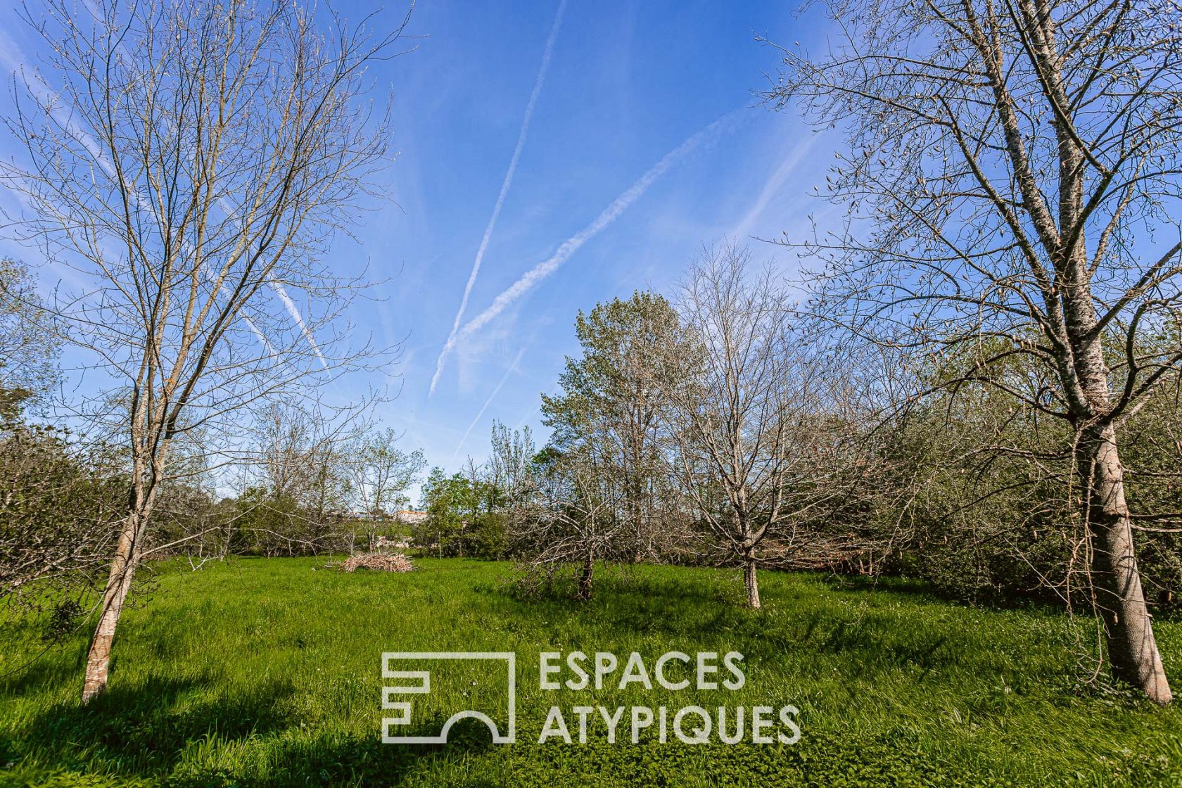 Magnifique demeure et son îlot de verdure au bord de la Sèvre