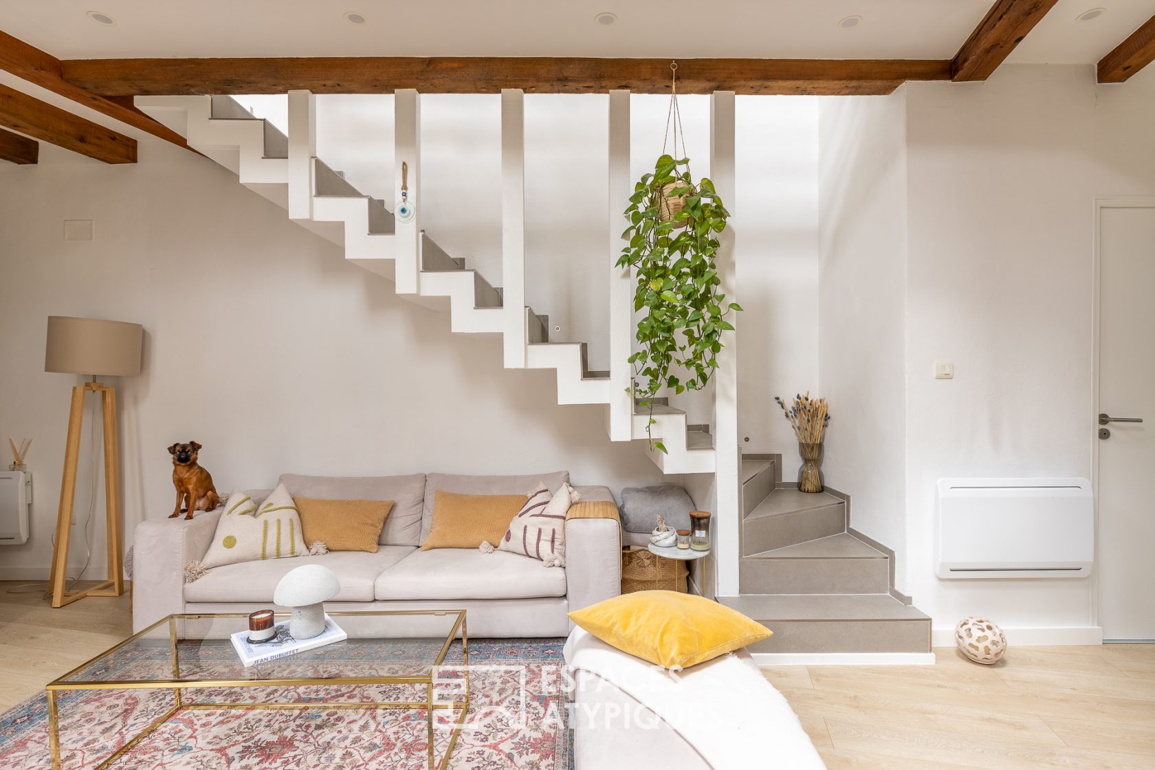 Charming duplex under the roofs